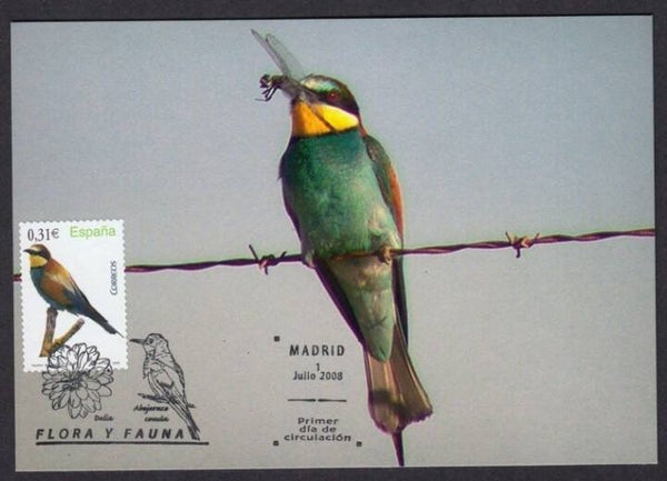 Birds (Merops apiaster) European Bee-eater 2008 Spain maximum card