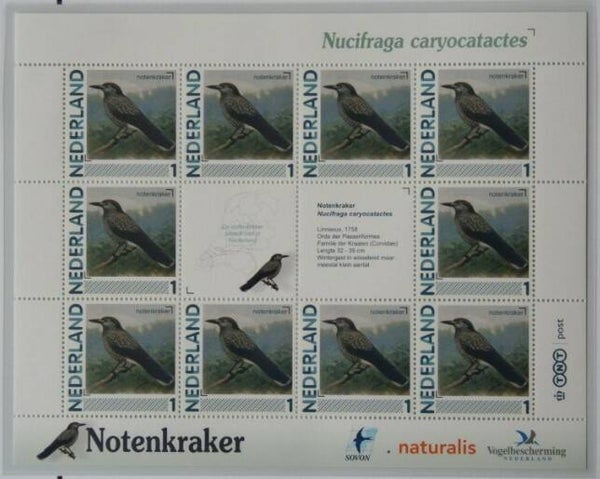 Birds (Nucifraga caryocatactes) Spotted Nutcracker 2012 Netherlands sheet