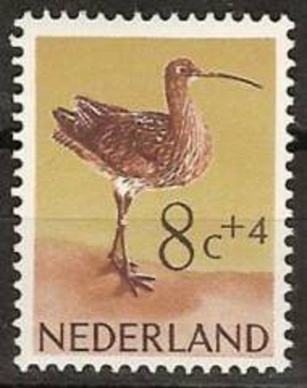Birds (Numenius arquata) Common Curlew 1961 Netherlands stamp