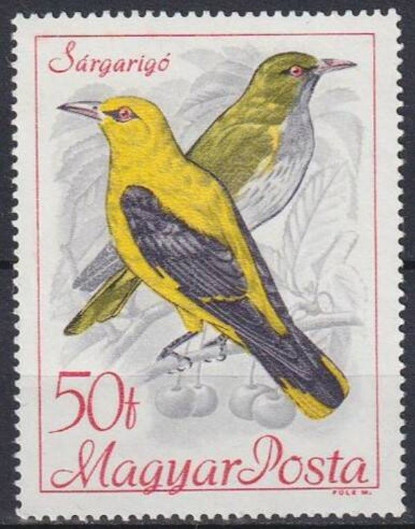Birds (Oriolus oriolus) Eurasian Golden Oriole 1968 Hungary stamp