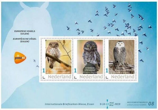 Birds Owls 2020 Netherlands miniature sheet
