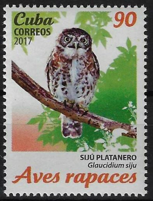 Birds Owls (Glaucidium siju) Cuban pygmy owl 2017 Cuba stamp