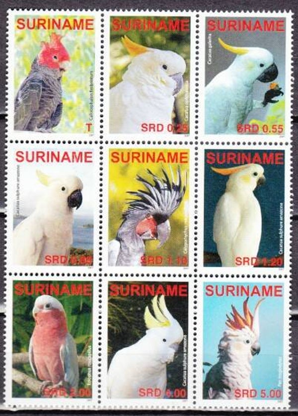 Birds Parrots 2007 Surinam serie