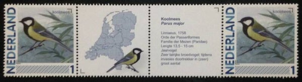 Birds (Parus major) Great Tit 2012 Netherlands strip