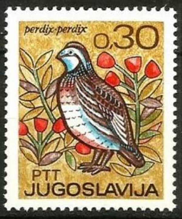 Birds (Perdix perdix) Grey Partridge 1967 Yugoslavia stamp