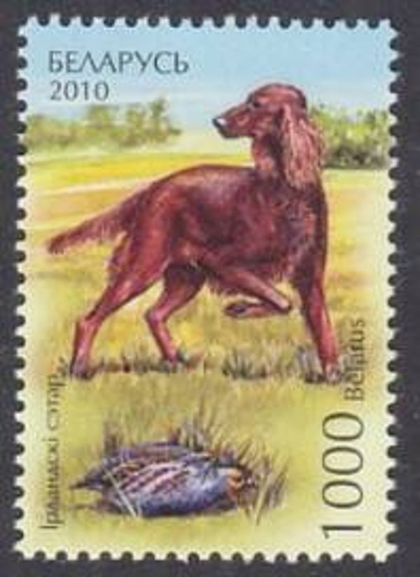 Birds (Perdix perdix) Grey Partridge 2010 Belarus stamp