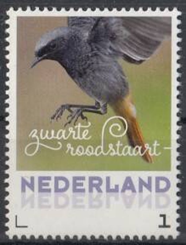Birds (Phoenicurus ochruros) Black Redstart 2017 Netherlands stamp