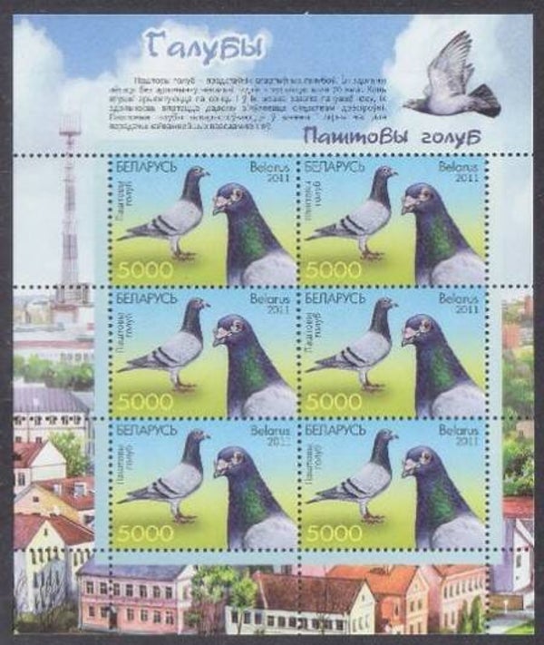 Birds Pigeons 2011 Belarus miniature sheet 3
