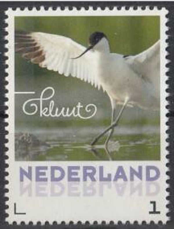 Birds (Recurvirostra avosetta) Pied Avocet 2017 Netherlands stamp