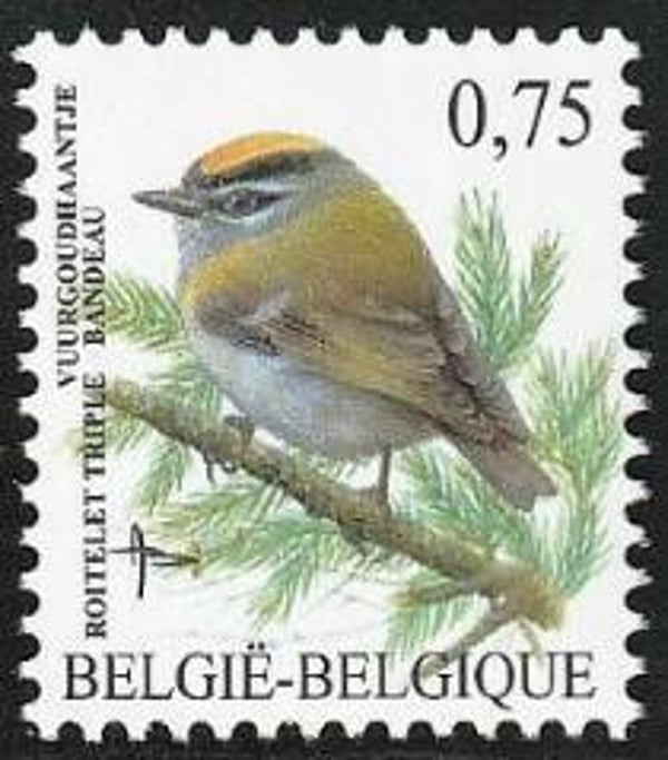 Birds (Regulus ignicapilla) Common Firecrest 2005 Belgium stamp