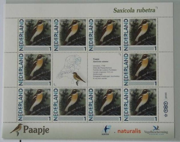 Birds (Saxicola rubetra) Whinchat 2012 Netherlands sheet