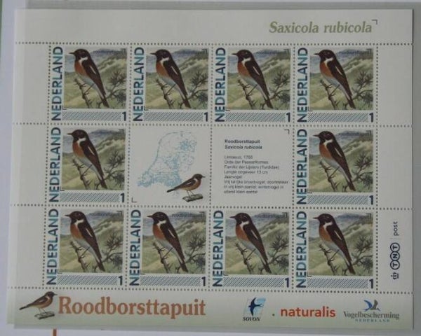 Birds (Saxicola rubicola) European Stonechat 2012 Netherlands sheet
