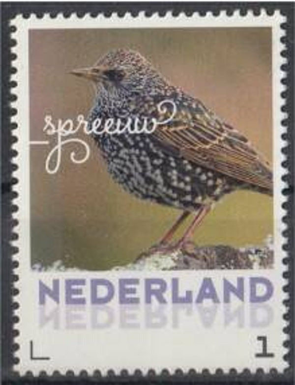 Birds (Sturnus vulgaris) Common Starling 2017 Netherlands stamp