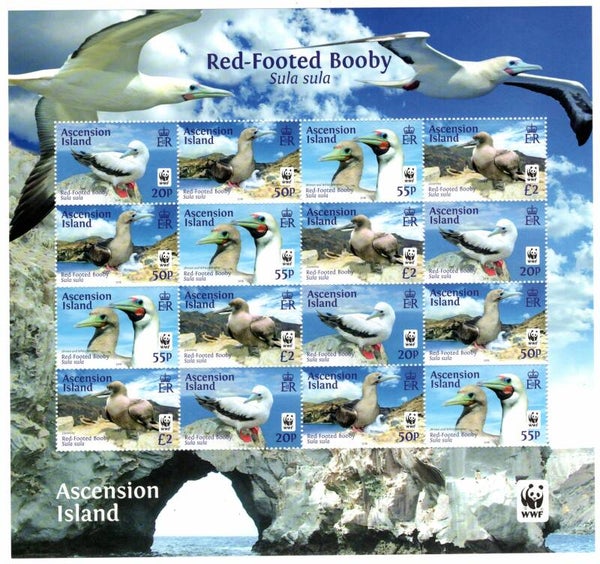 Birds (Sula sula) Red-footed Booby 2016 Ascension sheet