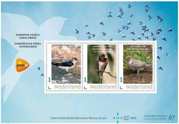 Birds Swallows 2020 Netherlands miniature sheet