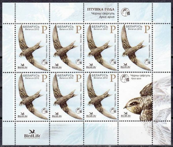 Birds Swallows (Apus apus) Common Swift 2012 Belarus miniature sheet