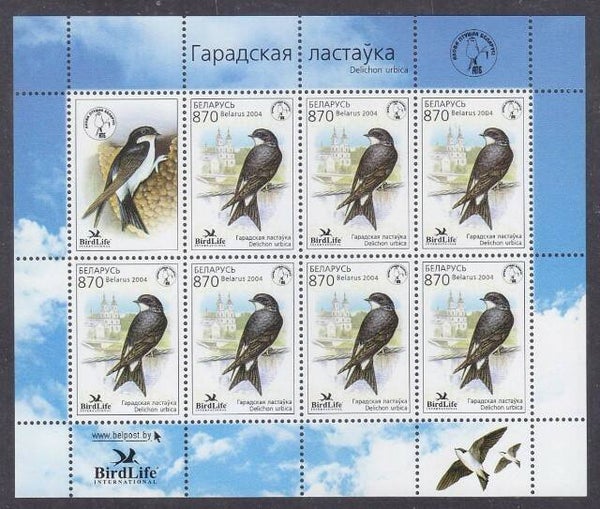 Birds Swallows (Delichon urbicum) Common House Martin 2004 Belarus miniature sheet