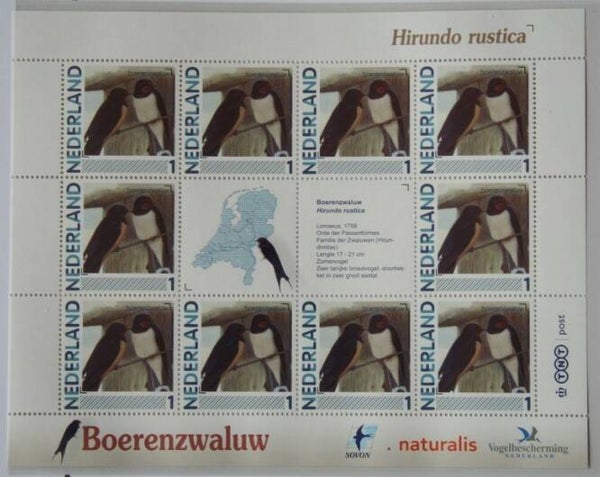 Birds Swallows (Hirundo rustica) Barn Swallow 2012 Netherlands sheet