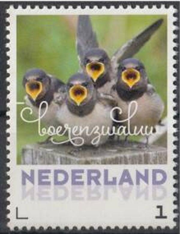 Birds Swallows (Hirundo rustica) Barn Swallow 2017 Netherlands stamp