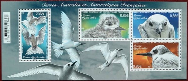 Birds Terns (Gygis alba) White Tern 2017 TAAF miniature sheet