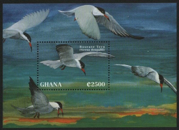 Birds Terns (Sterna Dougallii) Roseate Tern 1994 Ghana block
