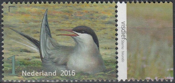 Birds Terns (Sterna hirundo) Common Tern 2016 Netherlands stamp