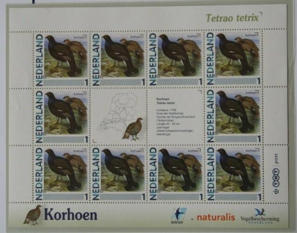Birds (Tetrao tetrix) Black Grouse 2012 Netherlands sheet