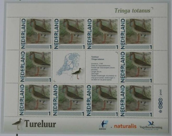 Birds (Tringa totanus) Common Redshank 2012 Netherlands sheet