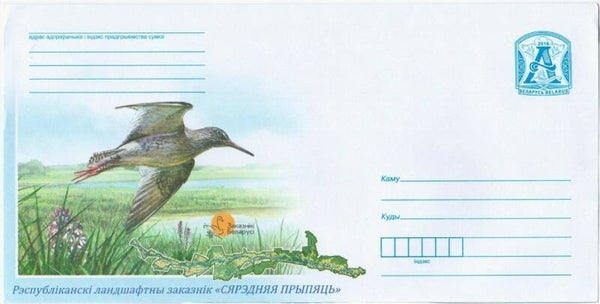Birds (Tringa totanus) Common Redshank 2016 Belarus envelope