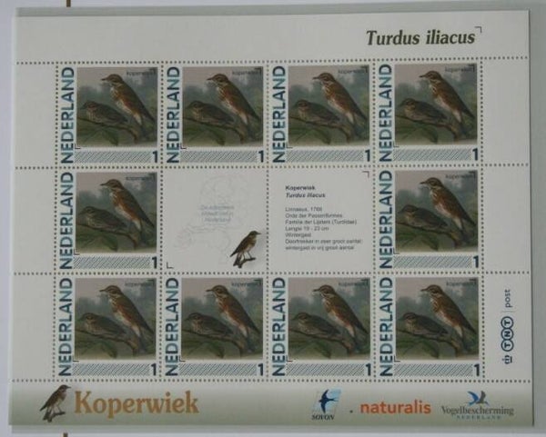 Birds (Turdus iliacus) Redwing 2012 Netherlands sheet