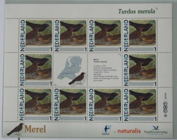 Birds (Turdus merula) Common Blackbird 2012 Netherlands sheet