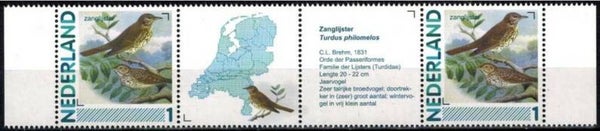 Birds (Turdus philomelos) Song Thrush 2012 Netherlands strip