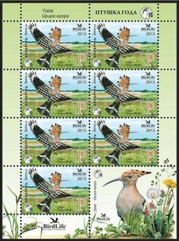 Birds (Upupa epops) Eurasian Hoopoe 2013 Belarus miniature sheet