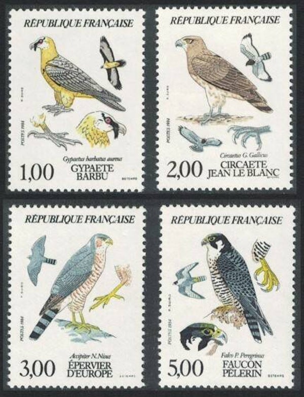 Birds of Prey 1984 France serie