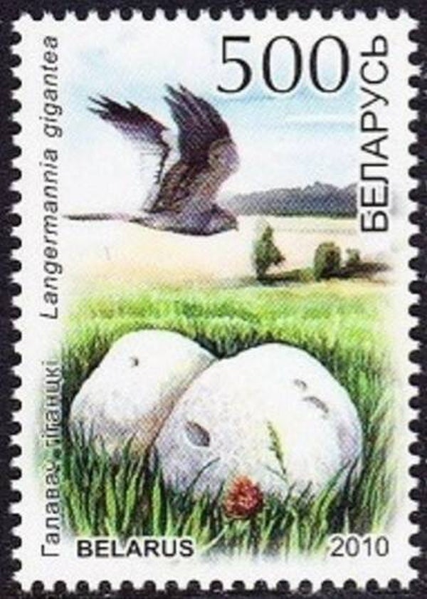 Birds of Prey 2010 Belarus stamp