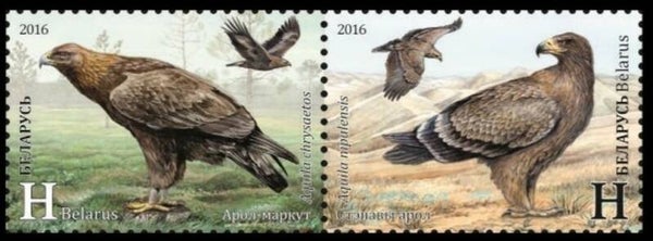 Birds of Prey 2016 Belarus serie