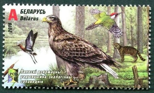 Birds of Prey 2018 Belarus stamp