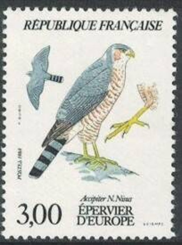 Birds of Prey (Accipiter nisus) Eurasian Sparrowhawk 1984 France stamp