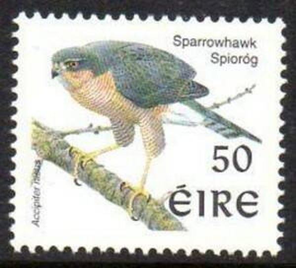 Birds of Prey (Accipiter nisus) Eurasian Sparrowhawk 1997 Ireland stamp with phosphor frame