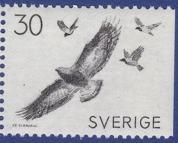 Birds of Prey (Aquila chrysaetos) Golden Eagle 1968 Sweden stamp imperforated right