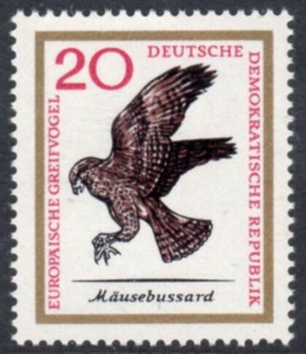 Birds of Prey (Buteo buteo) Common Buzzard 1965 Germany DDR stamp