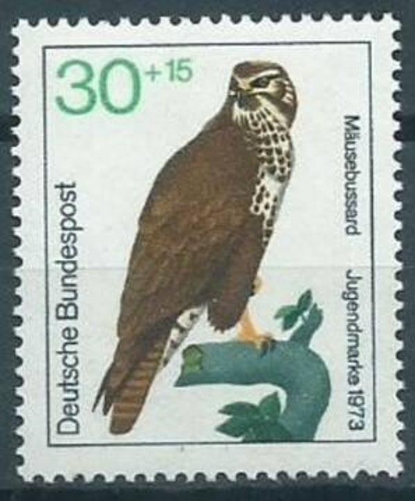 Birds of Prey (Buteo buteo) Common Buzzard 1973 Germany stamp