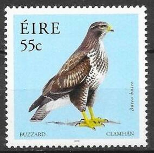 Birds of Prey (Buteo buteo) Common Buzzard 2010 Ireland stamp