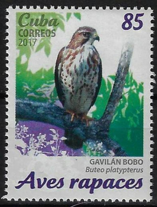Birds of Prey (Buteo platypterus) Broad-winged Hawk 2017 Cuba stamp