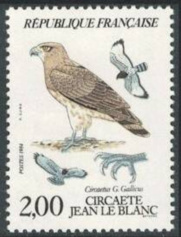 Birds of Prey (Circaetus gallicus) Short-toed Snake Eagle 1984 France stamp