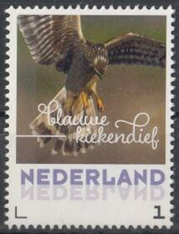 Birds of Prey (Circus cyaneus) Hen Harrier 2017 Netherlands stamp