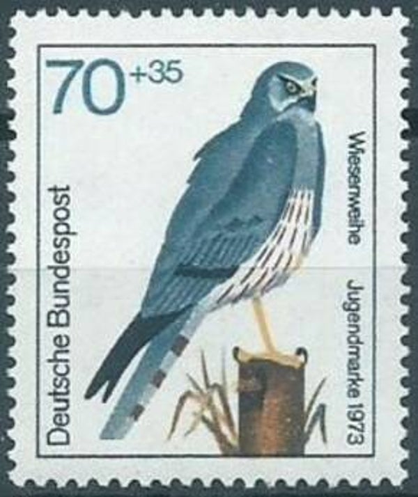 Birds of Prey (Circus pygargus) Montagu's Harrier 1973 Germany stamp