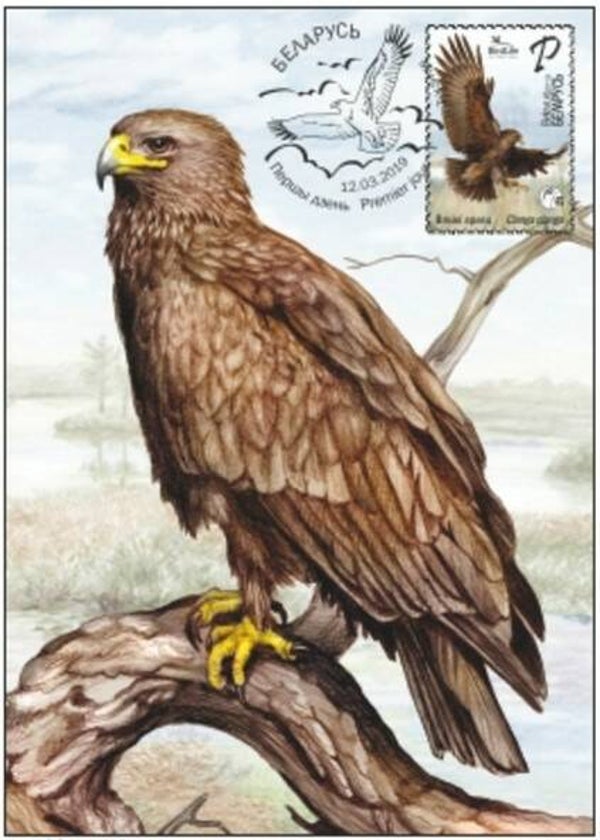 Birds of Prey (Clanga clanga) Greater Spotted Eagle 2019 Belarus maximum card