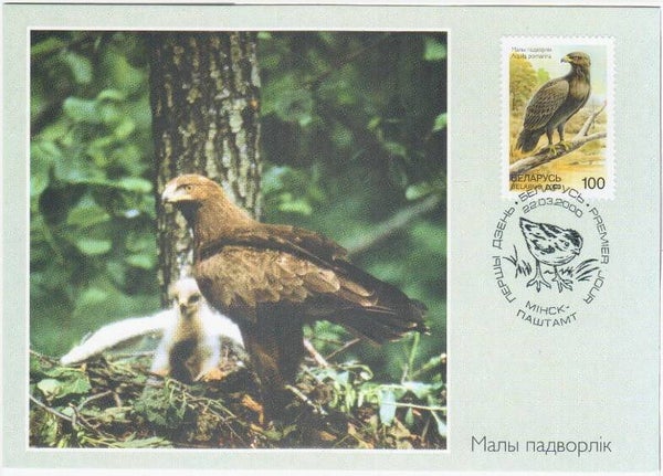 Birds of Prey (Clanga pomarina) Lesser Spotted Eagle 2000 Belarus maximum card