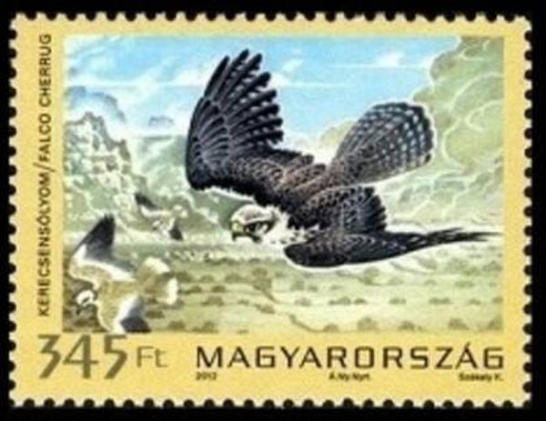 Birds of Prey Falcons (Falco cherrug) Saker Falcon 2012 Hungary stamp